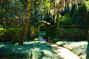 Maclay Gardens photo by Deborah Fagan Carpenter