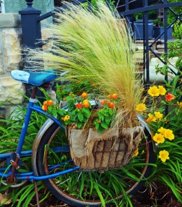 Millstone Market Nursery Bicycle Planter Photo by Deborah Fagan Carpenter