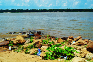 Mississippi River Trash 4.5