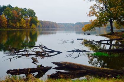 Autumn in the Mid-South Through the Lens of Butch Boehm